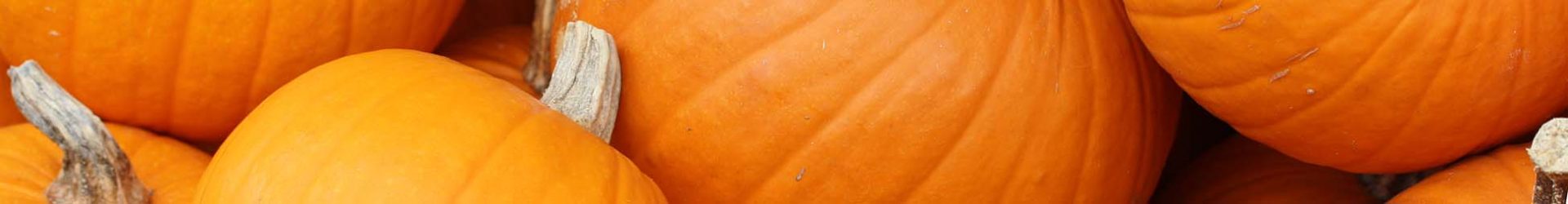 Gateau « carotte avec raisins »